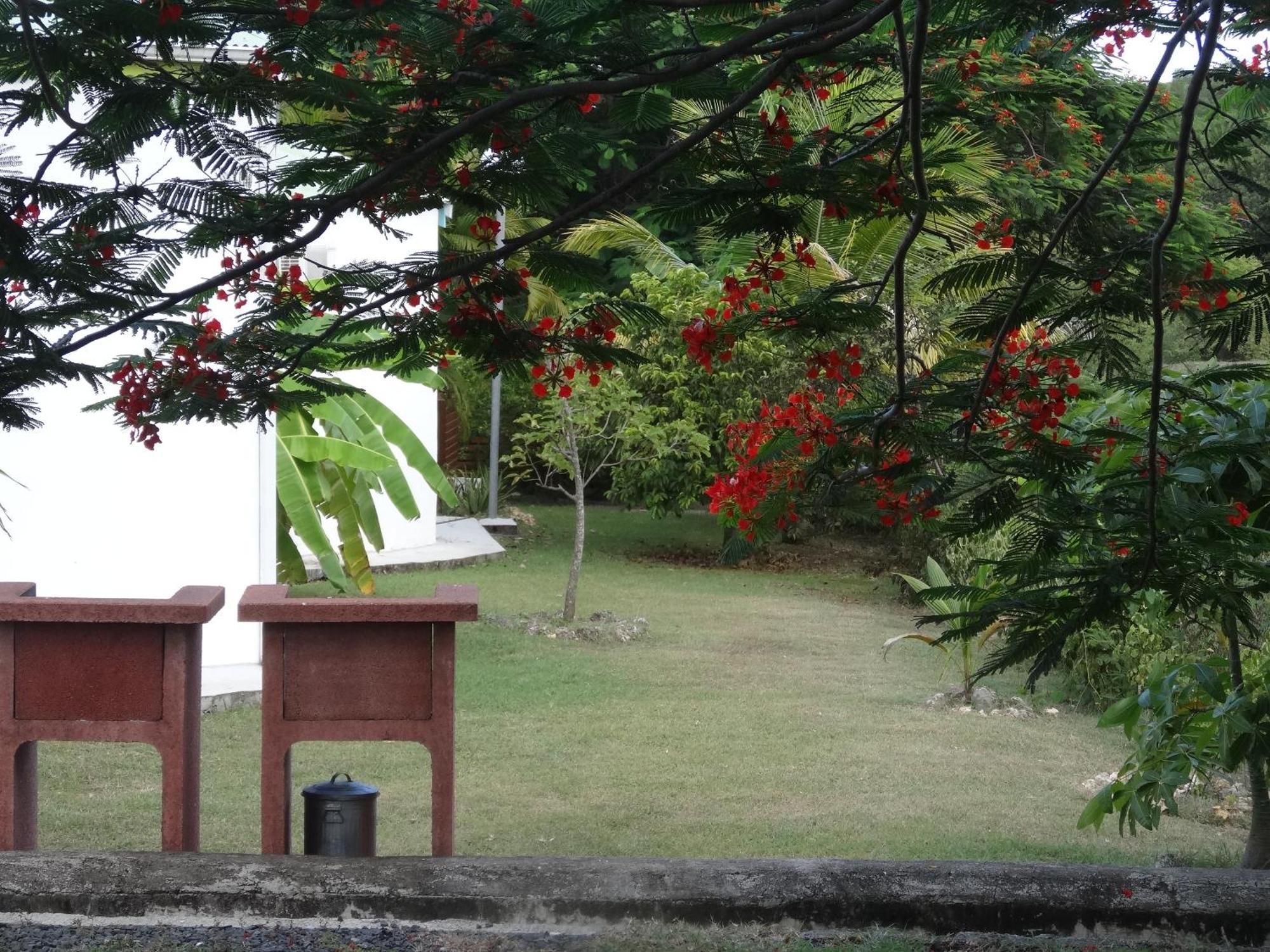 Gite Zandoli Koko Sainte-Anne  Luaran gambar