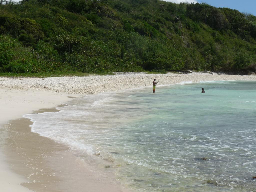 Gite Zandoli Koko Sainte-Anne  Luaran gambar